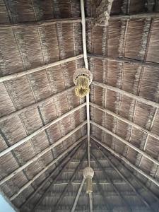eine Strohdachdecke mit einem Vogelnest in der Unterkunft Sak in Tulum