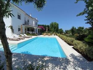 an external view of a villa with a swimming pool at Tenuta viale degli ulivi in San Martino in Pensilis
