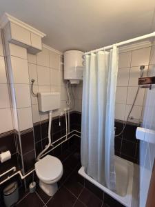 a bathroom with a toilet and a shower curtain at Studio Sanader in Soko Banja