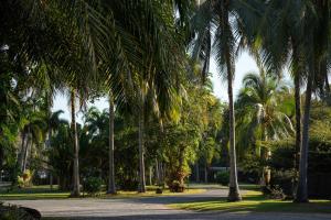 Zahrada ubytování Daintree Beach Resort