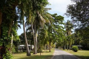 Zahrada ubytování Daintree Beach Resort