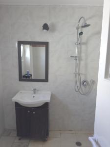 un bagno con lavandino e doccia con specchio di Best sea view a Qiryat Yam Altre 19 foto