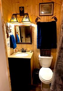 ein Badezimmer mit Toilette, Waschbecken und Spiegel in der Unterkunft The Dapper Duck Log Cabin in Cosby