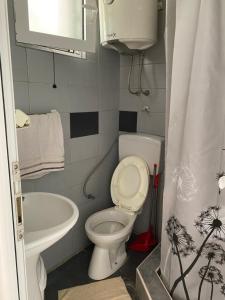 a small bathroom with a toilet and a sink at Apartmani Rakocevic in Sutomore +24 photos