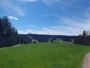 Příroda nedaleko apartmánu + 1 fotografie