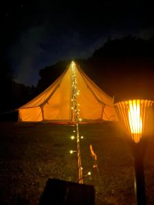 Fotografie z fotogalerie ubytování Farks - at Neddy Green - Maple v destinaci Lytchett Matravers