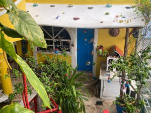 Zahrada ubytování Maison Tulum