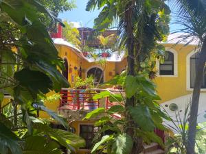 Zahrada ubytování Maison Tulum