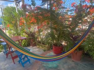 Zahrada ubytování Maison Tulum