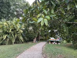 Gallery image of Bello BigRig Luxury Riverfront Escape Close to Town in Bellingen