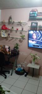 a room with a tv on a wall with shelves at cris Gomes cop30 in Ananindeua