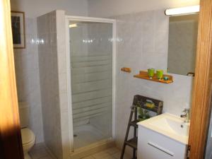 a bathroom with a shower and a toilet and a sink at Gîte champêtre avec pêche, animaux admis - FR-1-585-6 in Halles-sous-les-Côtes +10 photos