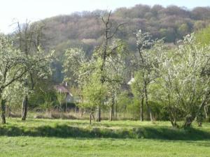 a field with trees and a hill in the background at Gîte confortable à Halles-sous-les-Côtes avec cheminée et terrasse - FR-1-585-5 in Halles-sous-les-Côtes