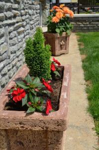 A garden outside Németh Vendégház