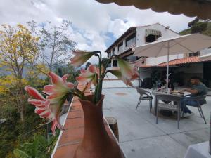 a vase with flowers in it next to a house at Granja Cafetalera Alegría in Mérida