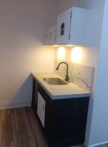 a kitchen with a sink and a counter top at Guest House in McKees Rocks