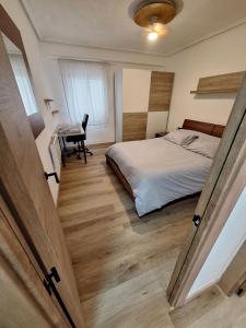 ein Schlafzimmer mit einem Bett und einem Schreibtisch in der Unterkunft Piso Burjassot - Valencia in Burjasot