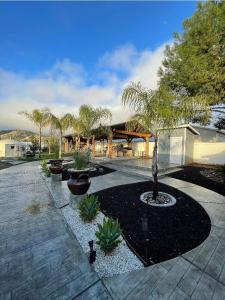 Zahrada ubytování Oasis Resort