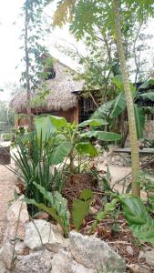 Taman di luar Camping Rancho El Tauro