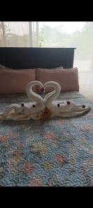 a blanket on a bed in a bedroom at Tropical Crystal House in Guápiles