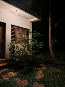 Κήπος έξω από το Nature Paradise