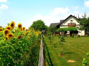 un campo de girasoles frente a una casa en Agroturystyka Oświęcim en Skidzin