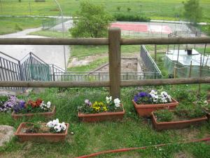 Zahrada ubytování Hotel Holidays