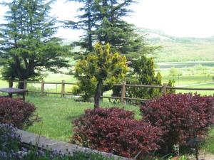 a garden with trees and flowers in front of a fence at Hotel Holidays in Roccaraso