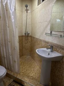 撒马尔罕Aisha Guest House的相册照片