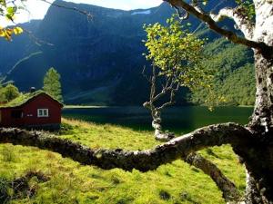 a small red house in a field next to a lake at Stall Rygg Mountain Cottage, Gloppen in Rygg