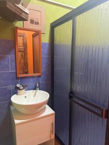 a bathroom with a sink and a shower at Cabaña Vista al Valle in Paraíso