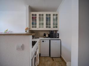 Kuchyňa alebo kuchynka v ubytovaní Premium Buda Castle Apartment