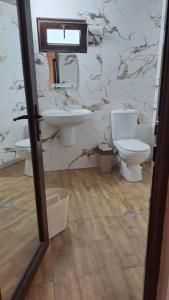 a bathroom with a toilet and a sink at Shaverge wine cellar and cottejes in Kvareli