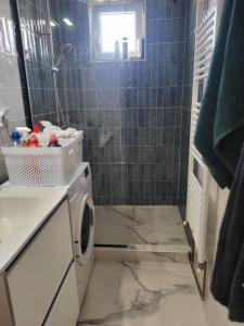 Un baño con lavabo y lavadora. en Apartament Cristi, en Bistriţa 1 foto más