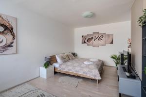 Televízia a/alebo spoločenská miestnosť v ubytovaní Premium Buda Castle Apartment