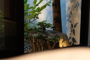 a plant sitting on top of a rock at UNO RETREAT Kyoto Gluten Free & Vegan Hotel in Kyoto +32 photos