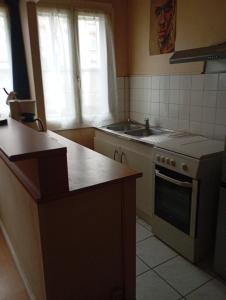 a kitchen with a sink and a stove top oven at Les temps heureux in Nancy