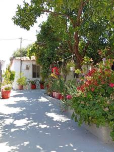 a walkway with potted plants and a house at ANNAS COTTAGE in Skala Sotiros