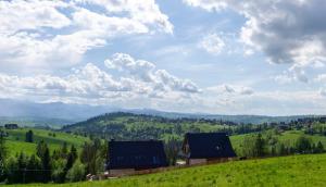 a green hillside with two houses on top of a hill at Villa Matygówka in Gliczarów Górny