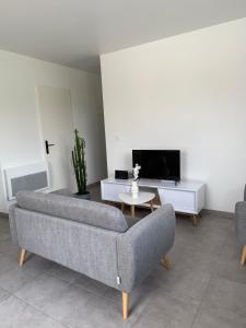 Μια τηλεόραση ή/και κέντρο ψυχαγωγίας στο Appartement moderne et spacieux 3