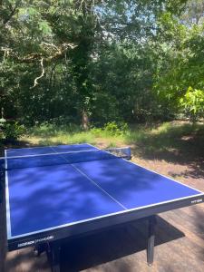 a blue ping pong table in a yard at Maison de vacances Namasté in Mérignac