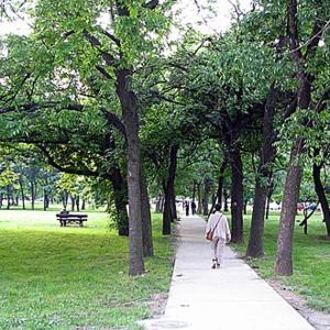 a person walking down a sidewalk in a park at Apartment ADA RB Belgrade in Čukarica