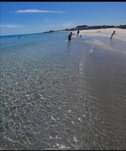 a group of people playing in the water on the beach at Villa habiba 3 chambres in El Haouaria