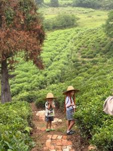 Gallery image of Sisters zhgenti plantacia in Ozurgetʼi
