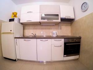 Kuchyň nebo kuchyňský kout v ubytování Apartments Villa Mirella