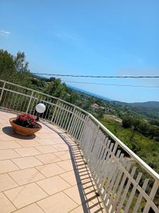 Naturlandskabet i nærheden af lejligheden