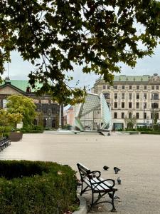 Vonkajšia záhrada v ubytovaní Luxury Art Apartment Centrum Poznań Plac Wolności