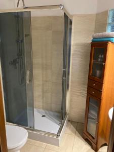 a shower with a glass door in a bathroom at Gospodarstwo Agroturystyczne Natalia Bębnista - Stajnia Morgan in Balczewo