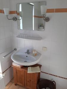 a bathroom with a sink and a mirror at Ferienwohnung an den Leinewiesen in Schwarmstedt