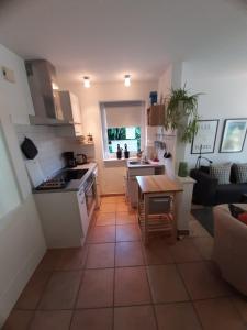 a kitchen and living room with a table and a stove at Ferienwohnung an den Leinewiesen in Schwarmstedt +10 photos